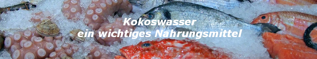 Kokoswasser
ein wichtiges Nahrungsmittel