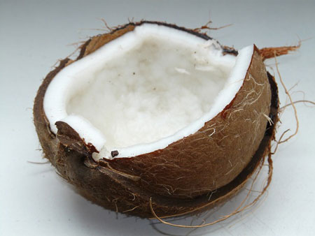 coconut-450