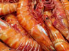 shrimp-100